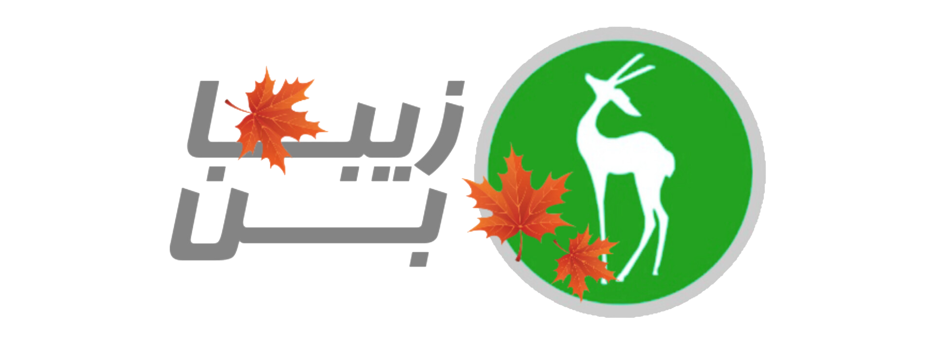 زیبابن